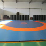 furekisiroll_wrestling