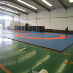 furekisiroll_wrestling